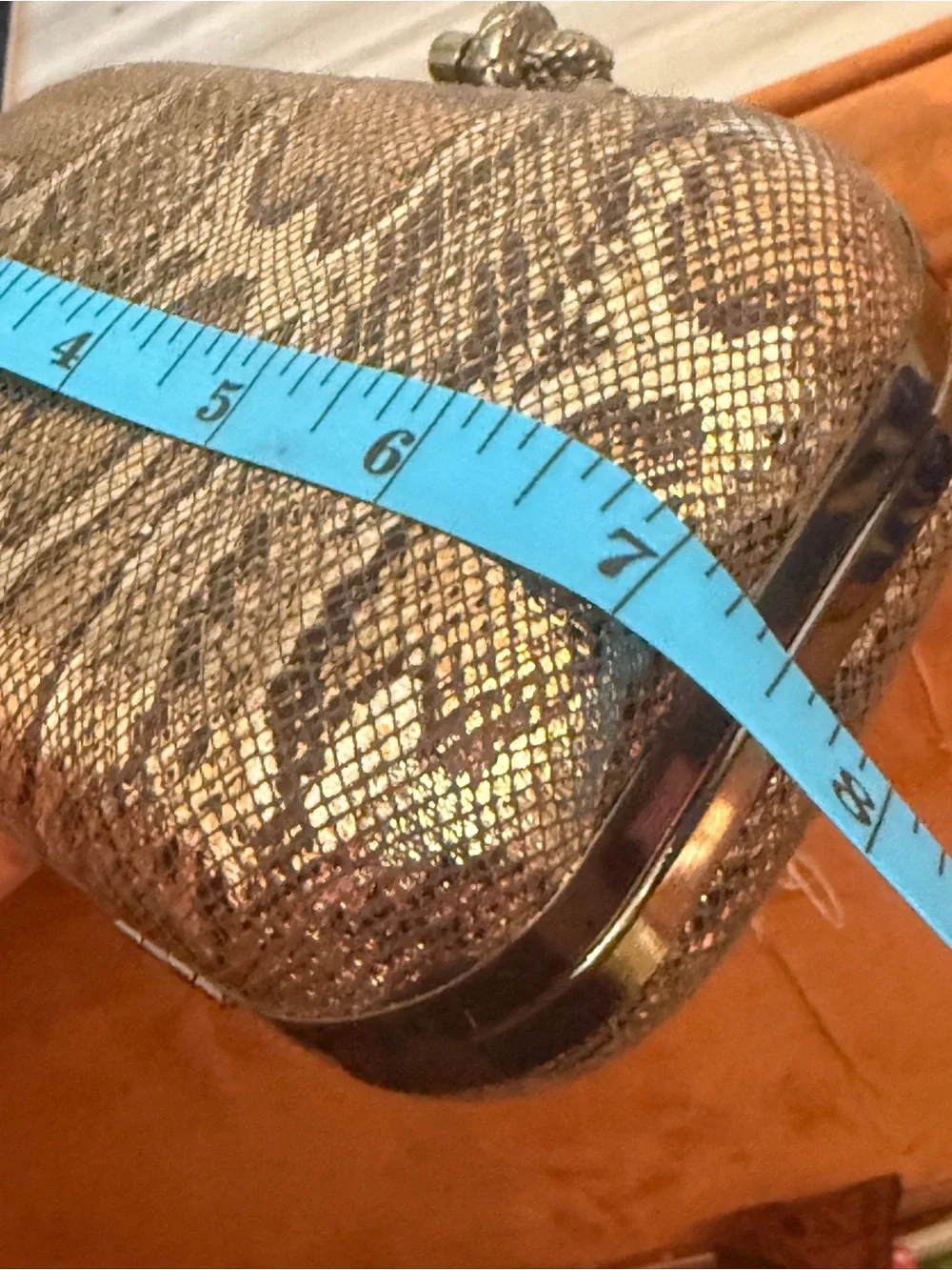 Snakeskin‎ Pattern Hard Clutch - Brown & Black
